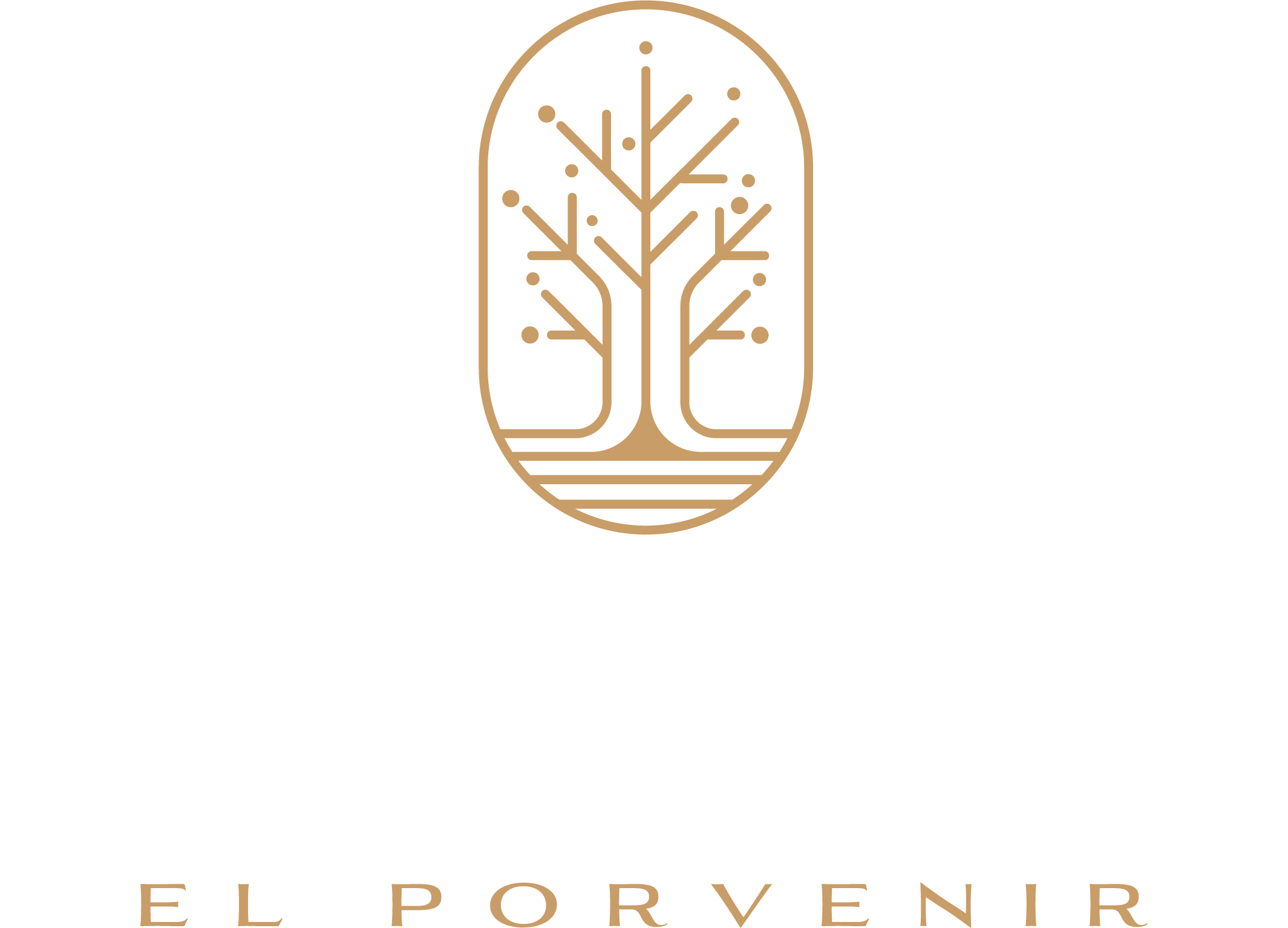 Logo Tzicuri